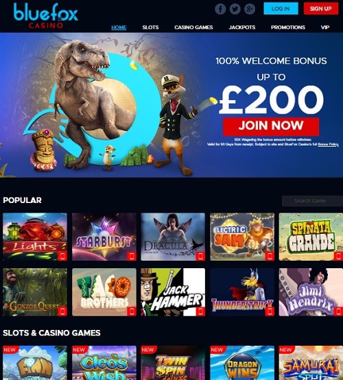 BlueFox Casino Review