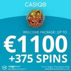 CasinoGo Welcome Bonus