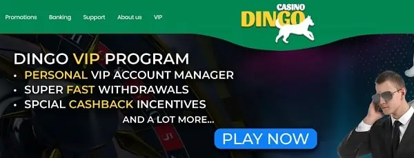 Dingo VIP program