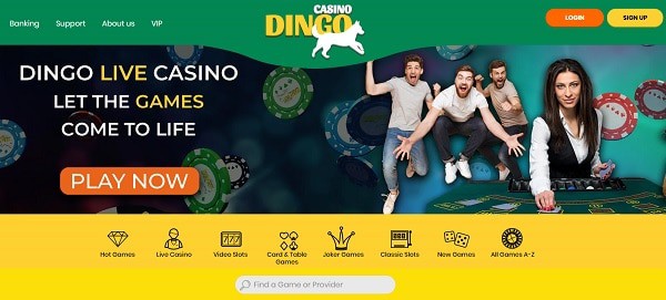 Dingo Live Dealer 