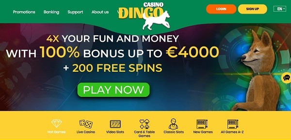 Dingo Welcome Bonus (4,000 EUR and 200 Free Spins) 