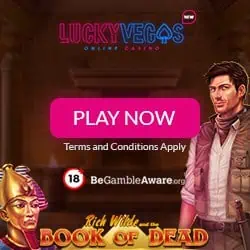 25 free spins on Book of Dead slot game 