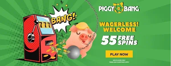 Register now and get 55 free spins no wager bonus