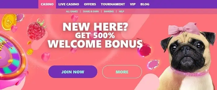 500% Welcome Bonus 